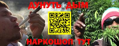 прущие грибы Дубна