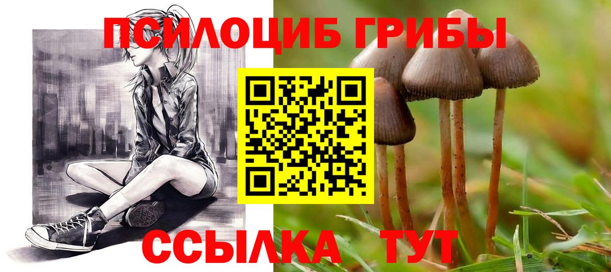 Псилоцибиновые грибы мицелий  сколько стоит  Минусинск  Вход с VPN 
